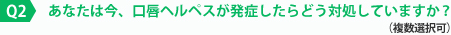 Q2 ?????????????????????????????(?????)